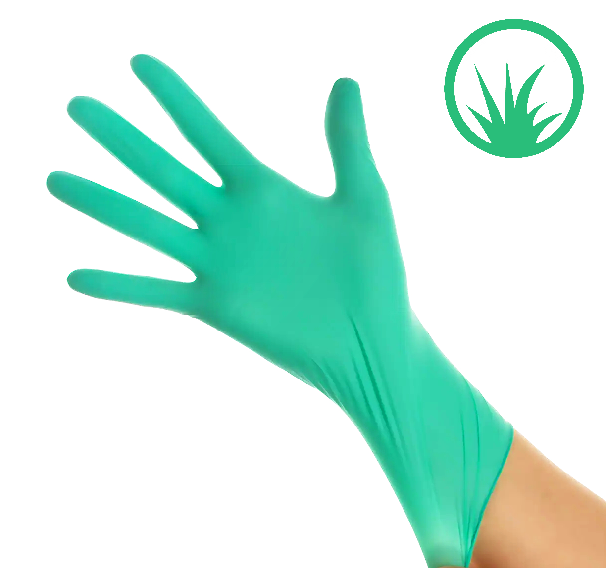 QUANTUS Nitril + Aloe Vera Handschuhe Puderfrei grün 100 Stück